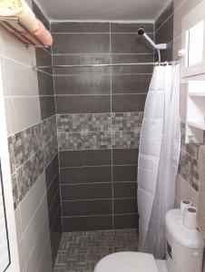 a bathroom with a shower and a toilet at Le petit Mimosa - City Center in Tataouine