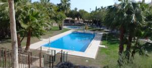 莫夕亞的住宿－HL018 Holiday rentals 2 Bedroom ground floor apartment on HDA golf resort, Murcia，棕榈树庭院内的游泳池