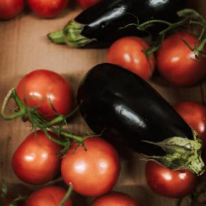 Galeriebild der Unterkunft Hotel-Restaurant Peifer in Brodenbach