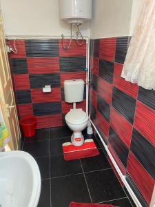a bathroom with a toilet and a sink at Casa SEBASTIAN in Brăduleţ