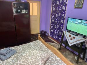 Brăduleţ的住宿－Casa SEBASTIAN，一间带电视和床的客厅以及一间带视频游戏的房间。