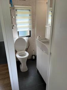 a small bathroom with a toilet and a window at Stacaravan aan het “Drents Friese Wold”. in Elsloo