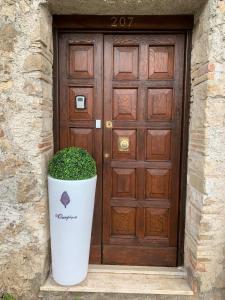 a large wooden door with a plant in front of it at Il Carpino luxury historic apartment in Carpineto Romano