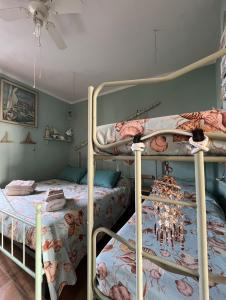 1 Schlafzimmer mit 2 Etagenbetten und einer Decke in der Unterkunft Casa Vacanze Marina di Pisa Catola in Marina di Pisa
