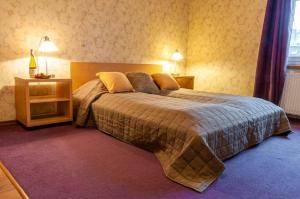 1 dormitorio con 1 cama grande en una habitación en Home & Travel, en Łódź