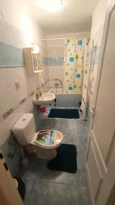 y baño con aseo, lavabo y ducha. en HannaH - Relax dom pod orechom Apartman2, en Trávnica