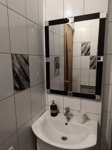 ein Bad mit einem Waschbecken und einem Spiegel in der Unterkunft Apartments Anna in Lwiw