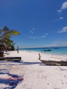 a beach with a boat on the sand and the ocean w obiekcie Nungwi beach house II w mieście Nungwi