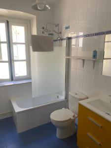 uma casa de banho com um WC, um chuveiro e um lavatório. em Apartamentos Hevia em Villaviciosa
