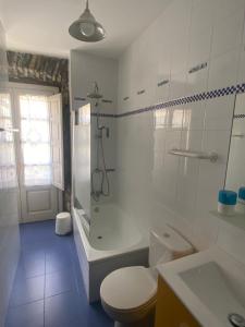 a bathroom with a toilet and a shower and a sink at Apartamentos Hevia in Villaviciosa