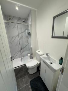 La salle de bains est pourvue d'une douche, de toilettes et d'un lavabo. dans l'établissement Glenariff Forest Redwood Lodge, à Glenariff