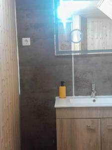 a bathroom with a sink and a mirror at Estúdio com Hidromassagem em casa com Pisicna e Churrsqueira in Santar