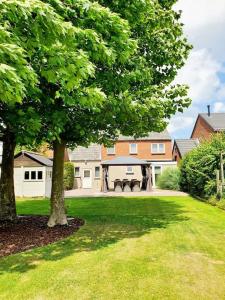 a house with a large tree in a yard at Nature Zeeland in Lamswaarde