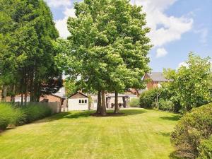 a large tree in the middle of a yard at Nature Zeeland in Lamswaarde