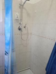 een douche in een badkamer met een blauw douchegordijn bij La casa di Lucia Appartamento in Novara