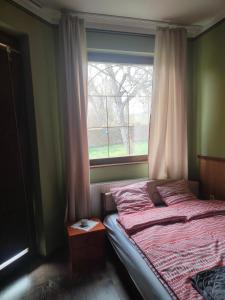 a bedroom with a bed and a window at Balaton Garden in Balatongyörök