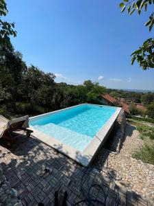 una piscina en un patio con vistas al océano en Casa cu piscina Cheile Nerei, en Socolari