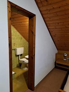 a bathroom with a toilet and a wooden ceiling at Webergütl in Auna di Sopra