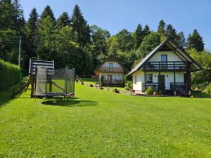a yard with a house and a net in the grass at Domki pod Polaną in Lesko