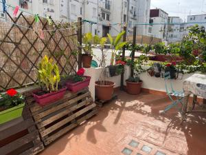 Balkón alebo terasa v ubytovaní Apartamento Ruzafa Centro II