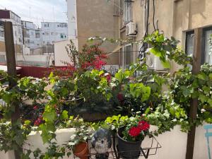 Fotografia z galérie ubytovania Apartamento Ruzafa Centro II v destinácii Valencia