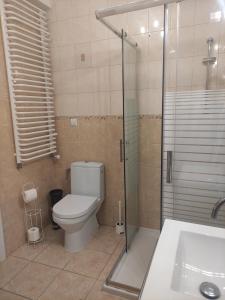 a bathroom with a toilet and a shower and a sink at centrumplażaGiżycko in Giżycko +11 photos