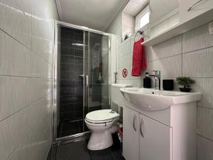 uma casa de banho com um WC, um lavatório e um chuveiro em Zigana Apartments em Mostar