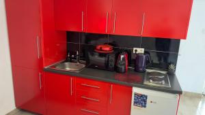 Kuchyň nebo kuchyňský kout v ubytování Zigana Apartments