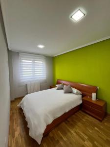 a bedroom with a bed with a green wall at Casa Maria in Beranga