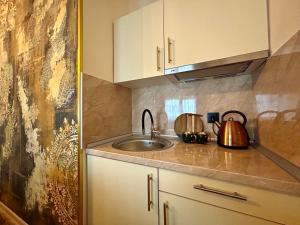a kitchen with a sink and a counter top at AD BASANTE in Bosanski Šamac