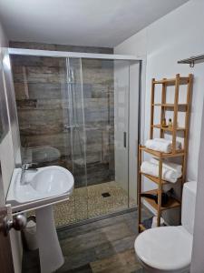 a bathroom with a shower and a sink and a toilet at Apartamentos Wundermar in Torredembarra