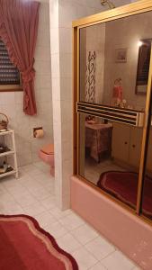 a bathroom with a toilet and a large glass window at VILLA DINA in Arkítsa