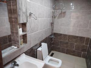 een badkamer met een toilet, een douche en een wastafel bij Rum Grand Tours Camp in Disah