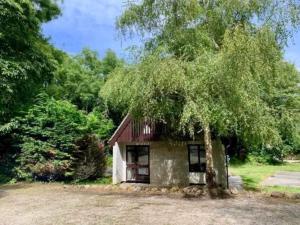 En have udenfor St Ives Bluebell Cottage