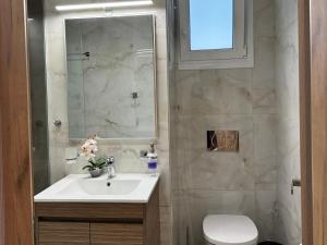bagno con lavandino, servizi igienici e specchio di Paul’s Garden Luxury House a Haraki