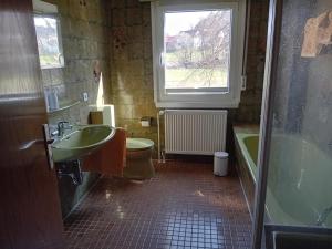 baño con lavabo y aseo y ventana en Grashüpfer en Freiensteinau