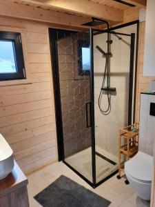 łazienka z prysznicem i toaletą w obiekcie Domek Ostoja w mieście Łomnica
