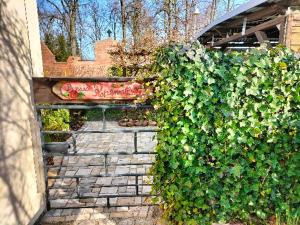 einen mit Efeu bedeckten Zaun mit einer Bank im Garten in der Unterkunft Pension Rosenvilla in Sedlitz