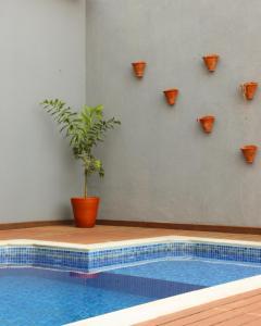 a potted plant sitting next to a swimming pool at Pouso Mineiro in São João Batista do Glória