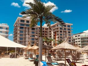 eine Palme am Strand mit Stühlen und Sonnenschirmen in der Unterkunft Cosmopolitan - Studio pe plaja cu vedere la mare & loc parcare gratis in Mamaia Nord – Năvodari