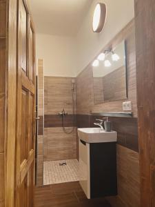 a bathroom with a sink and a shower at Apartmán Sirius B in České Budějovice +28 photos