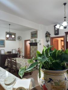 Fotografie z fotogalerie ubytování Nini House v destinaci Scandicci