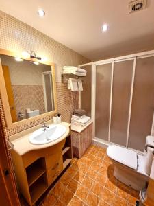 アインサにあるSierco Apartamentos Ainsaのバスルーム(洗面台、トイレ、鏡付)