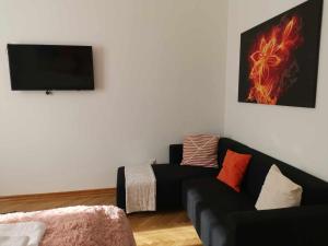sala de estar con sofá negro y TV de pantalla plana en Eisenerzer Apartments - Radmeisterhaus, en Eisenerz