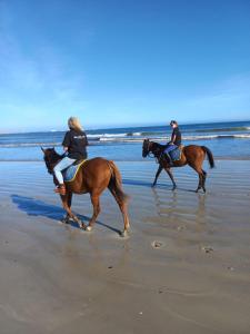 two people riding horses on the beach at Nova Vida in Paternoster