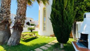 une cour avec une table de pique-nique et deux palmiers dans l'établissement Rafael by Check-in Portugal, à Albufeira 22 autres photos