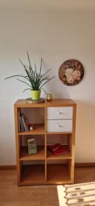 a table with a potted plant on top of it at Ferienwohnung Haus Ella in Neunkirchen