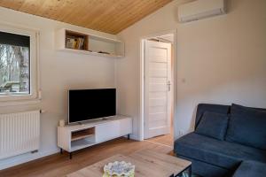 a living room with a blue couch and a tv at Haus Zander in Lohmen