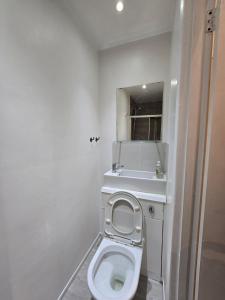 a bathroom with a toilet with a sink and a mirror at RELAKS LETTINGS in London