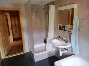 a bathroom with a sink and a shower and a toilet at Chalet Bärenhaus in Sigriswil